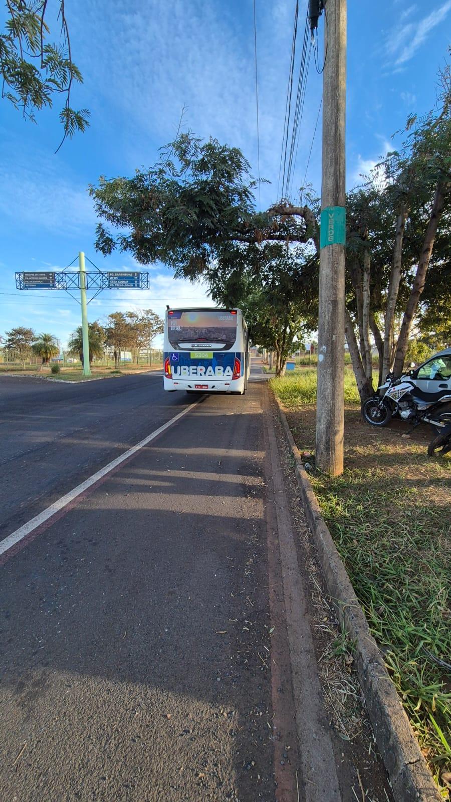 (Foto/Divulgação)