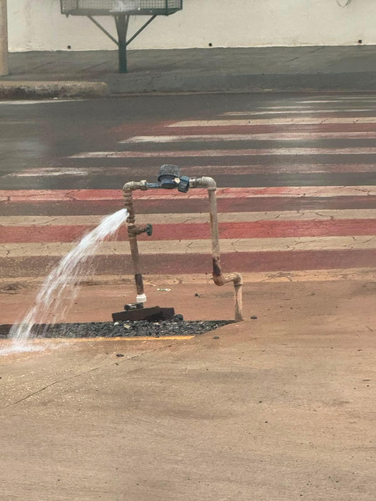 (Foto/Reprodução)
