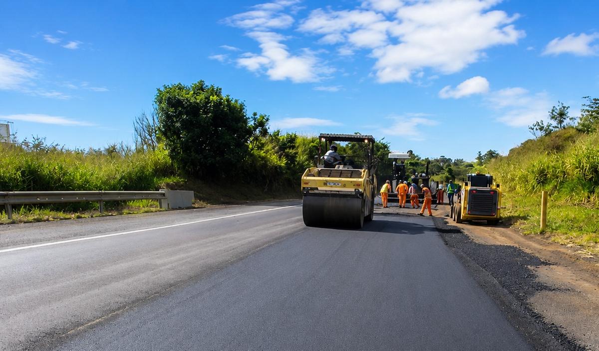 (Foto/Divulgação Way 262)