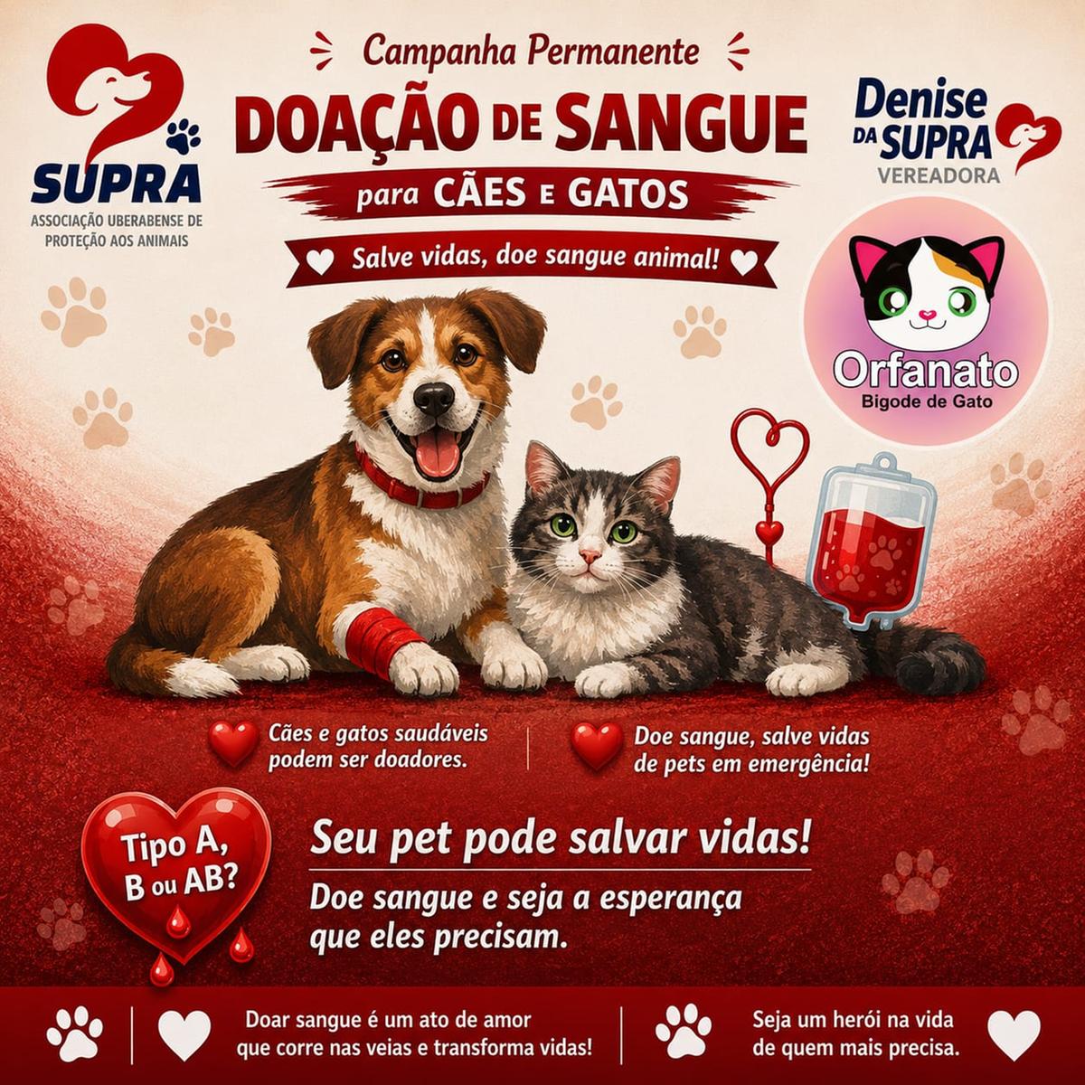 (Foto/Divulgação)