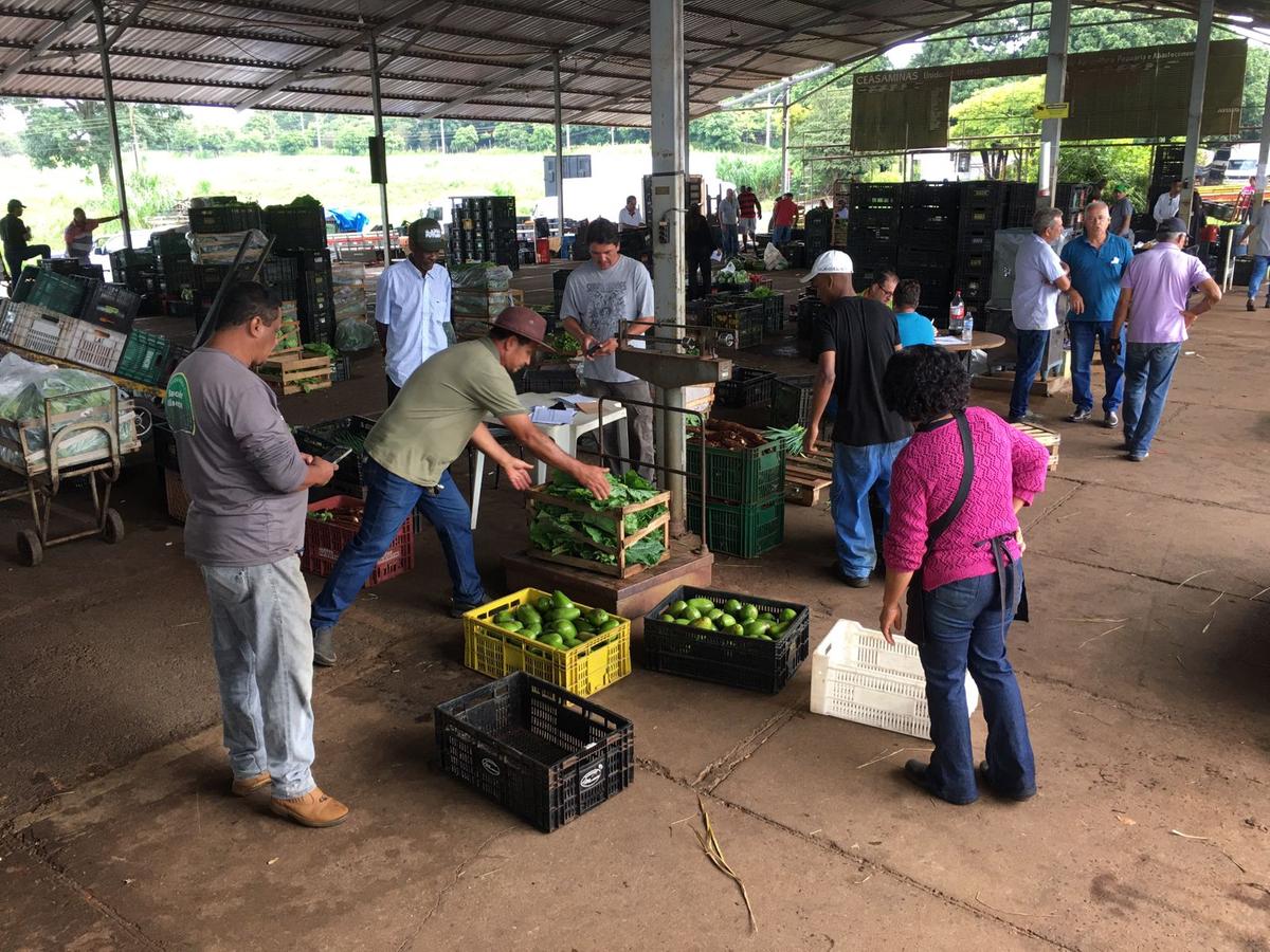 PAA já executou 82% dos recursos destinados a Uberaba e beneficia agricultores familiares, que fornecem alimentos ao Banco de Alimentos e a instituições assistenciais do município (Foto/Divulgação)