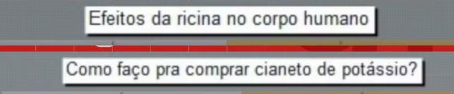 (Foto/Divulgação)