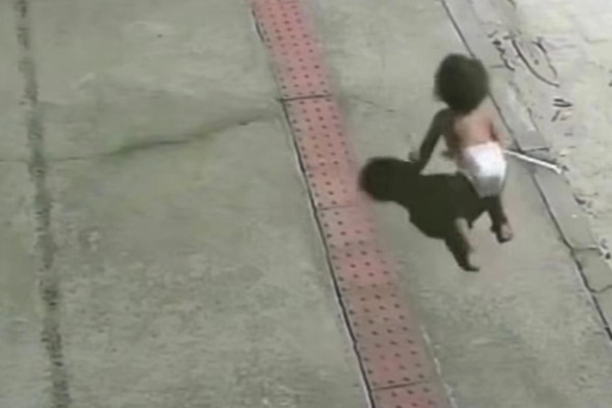 (Foto: Reprodução Vídeo)