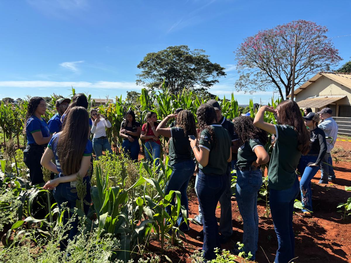 Para realização do evento, os alunos do Agronegócio fizeram o plantio das principais commodities e acompanharam todo o processo de cultivo. (Foto/Divulgação)