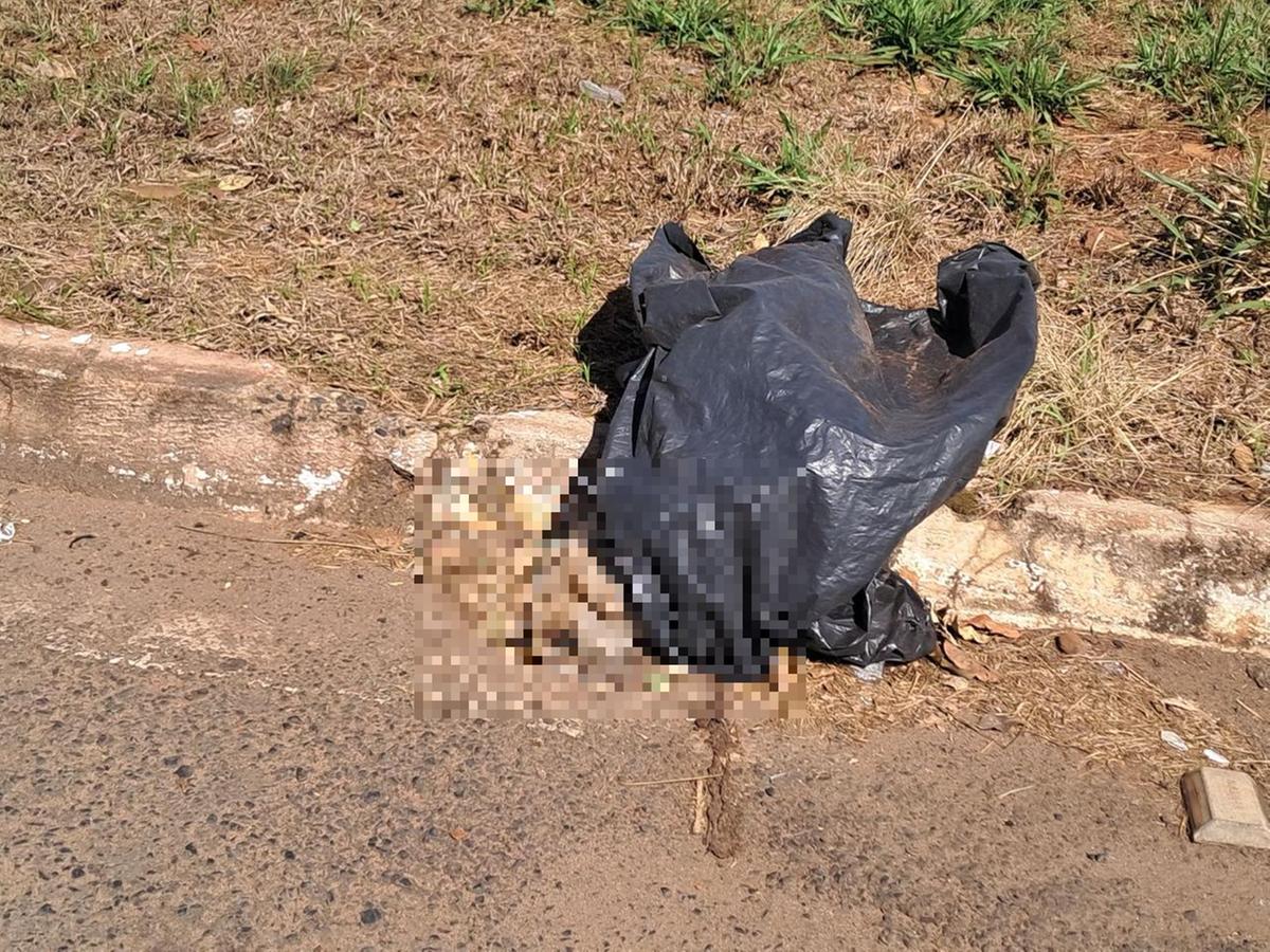  (Foto/Reprodução)