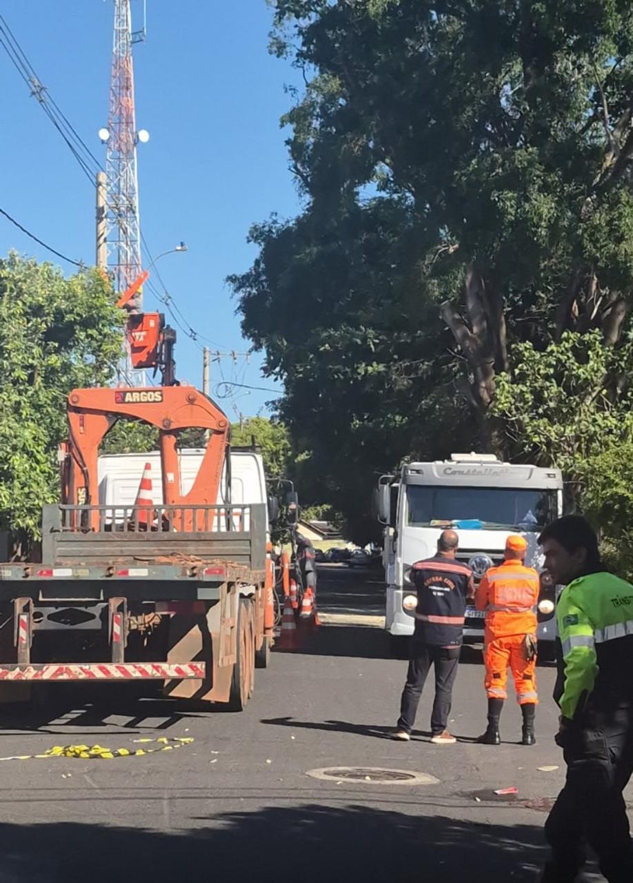  (Foto/ Divulgação)