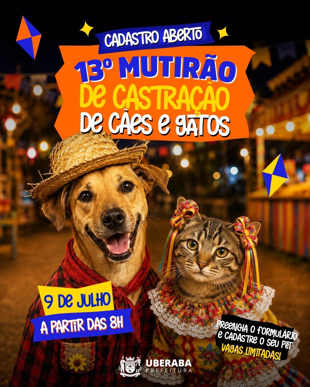 (Foto/Divulgação)