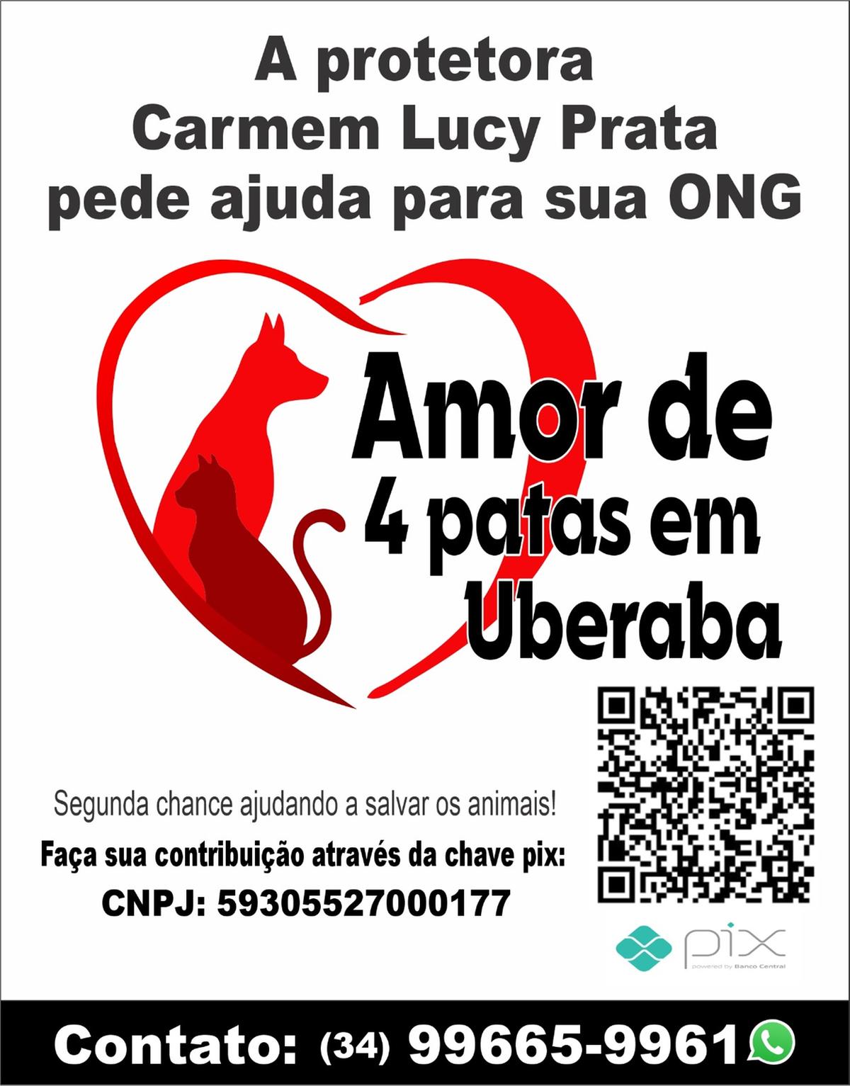 (Foto/Reprodução)