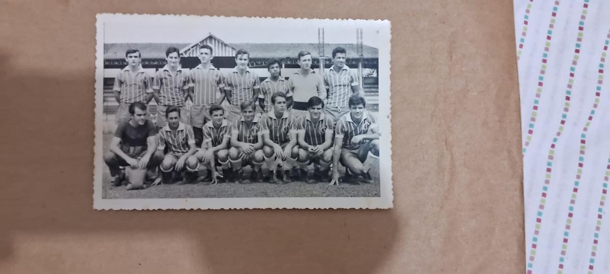 (Foto/Divulgação)
