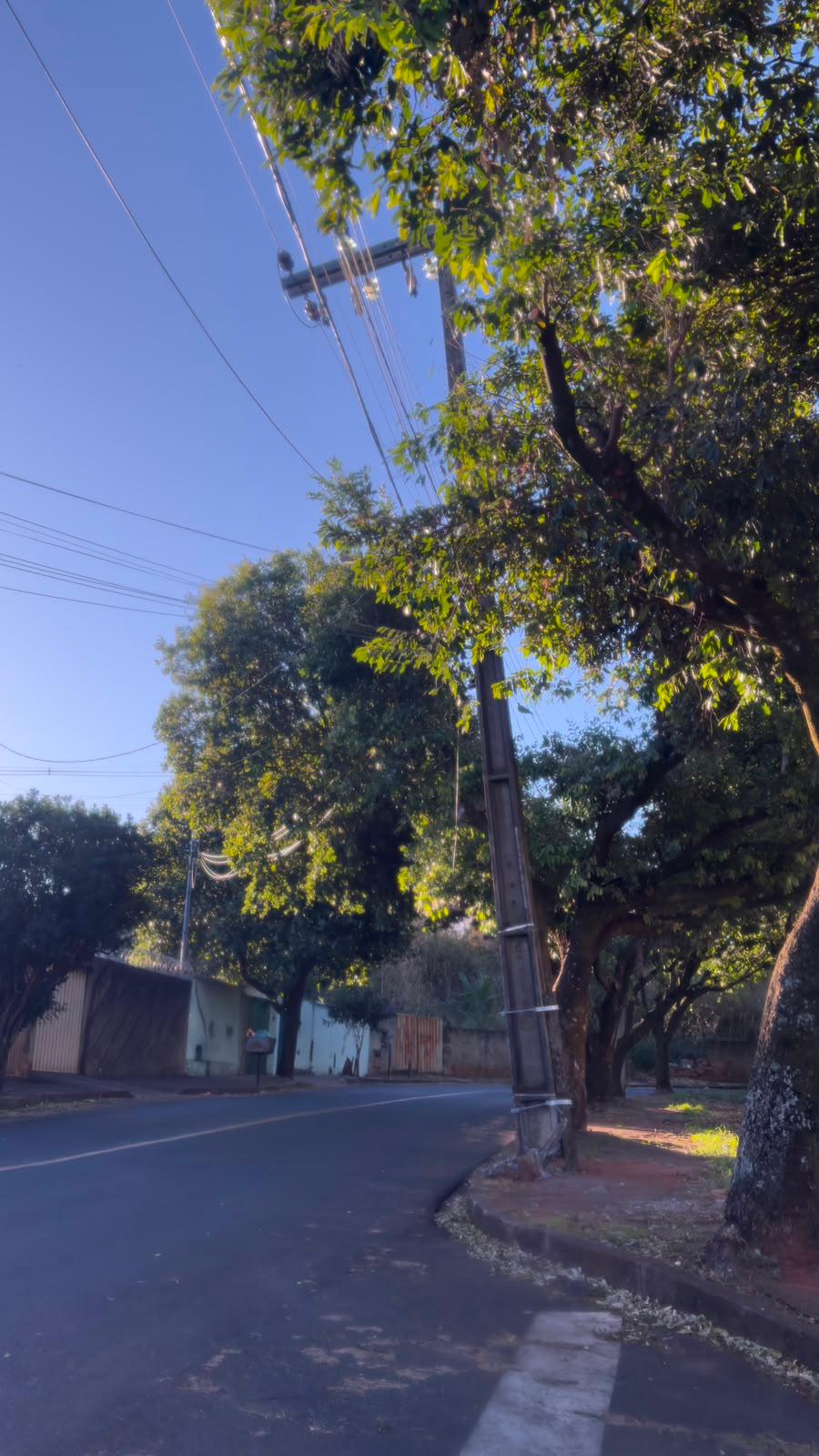(Foto/Reprodução)
