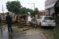 Enchente em Uberaba - Por Jairo Chagas Enchente em Uberaba - Por Jairo Chagas